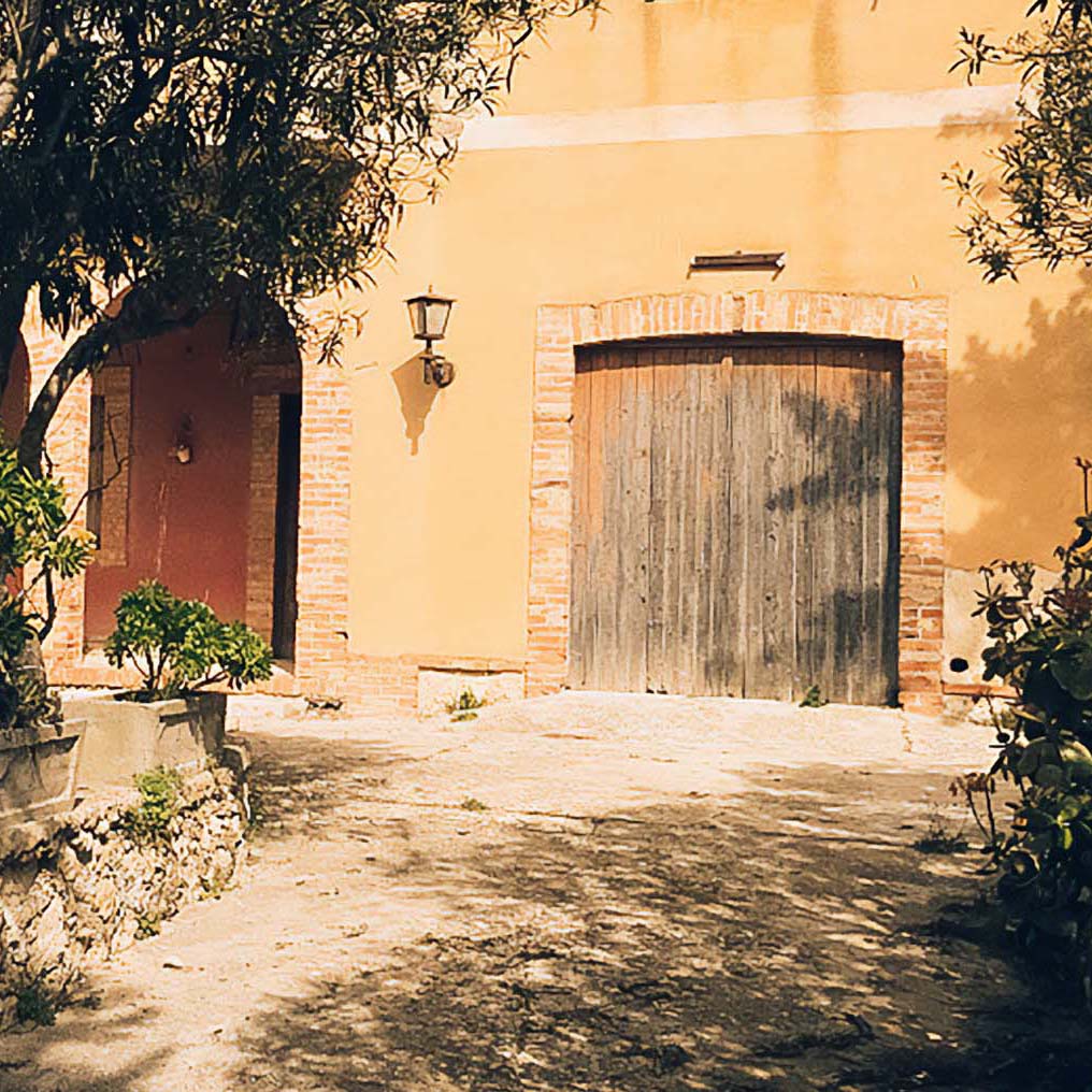 The farm where Di Mino olive oil is produced.